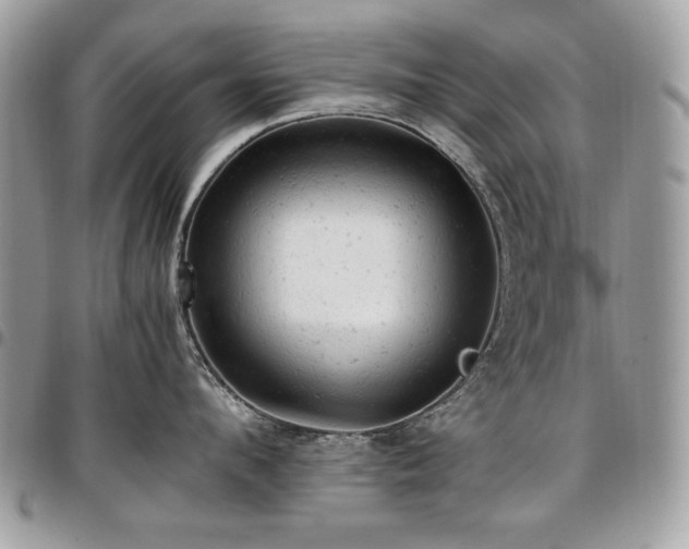 X0000096940912200802081203