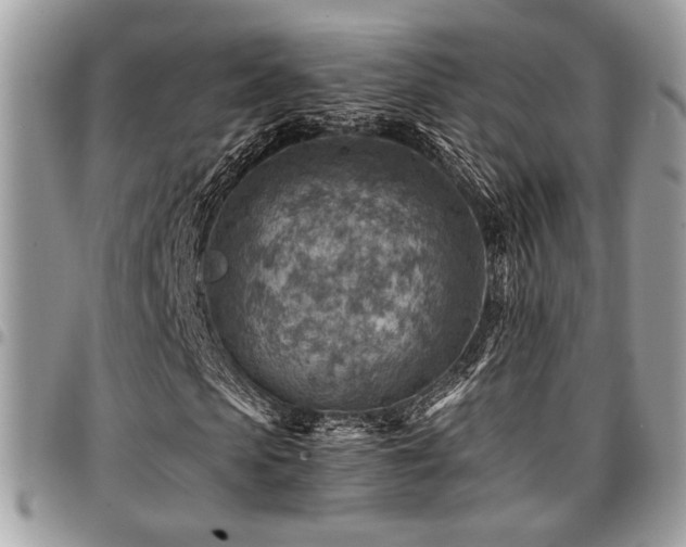 X0000096940913200802081202