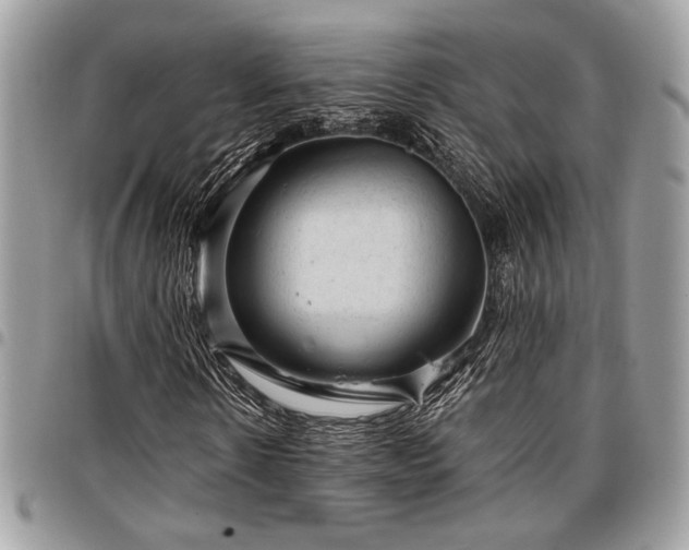 X0000096940914200802081202