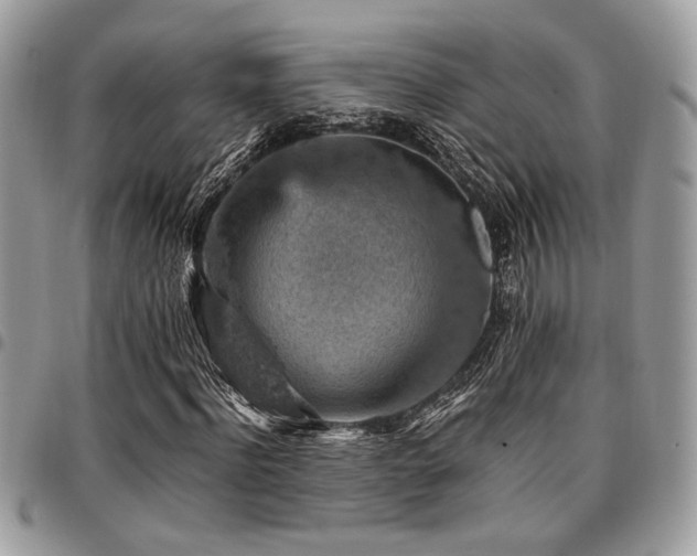 X0000096940916200802081202