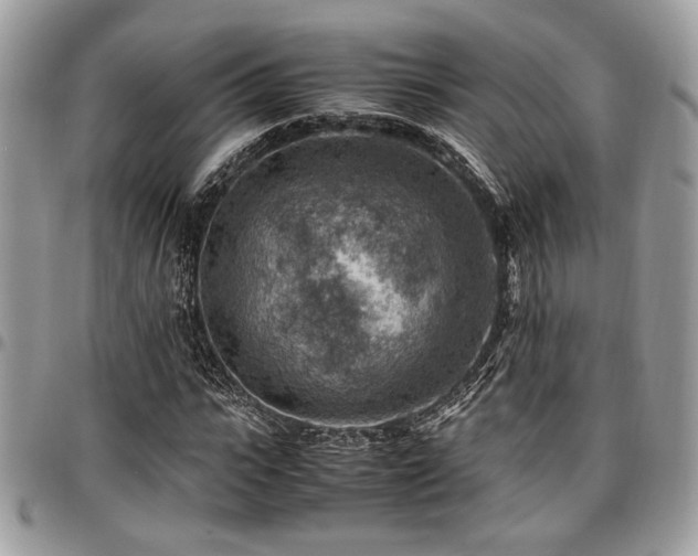 X0000096940919200802081202