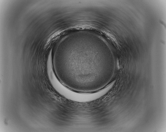 X0000096940920200802081202