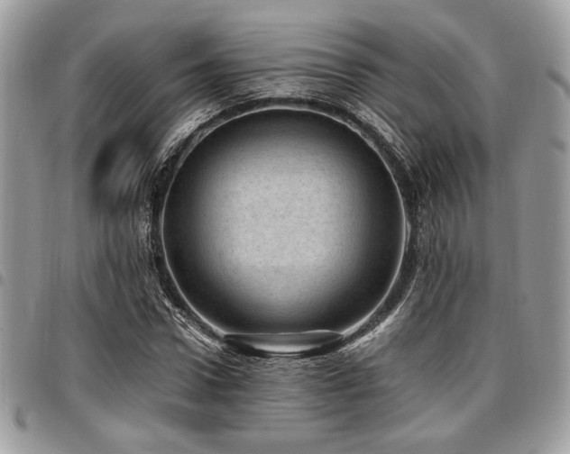 X0000096940922200802081202
