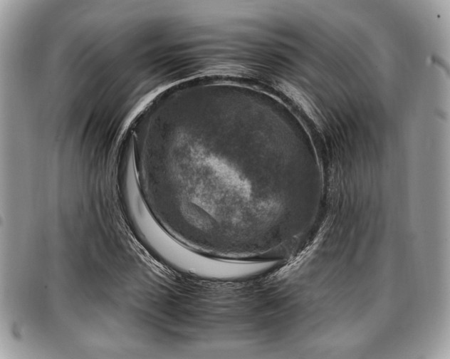 X0000096940923200802081202