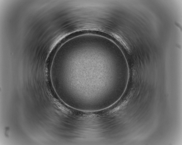 X0000096940926200802081202