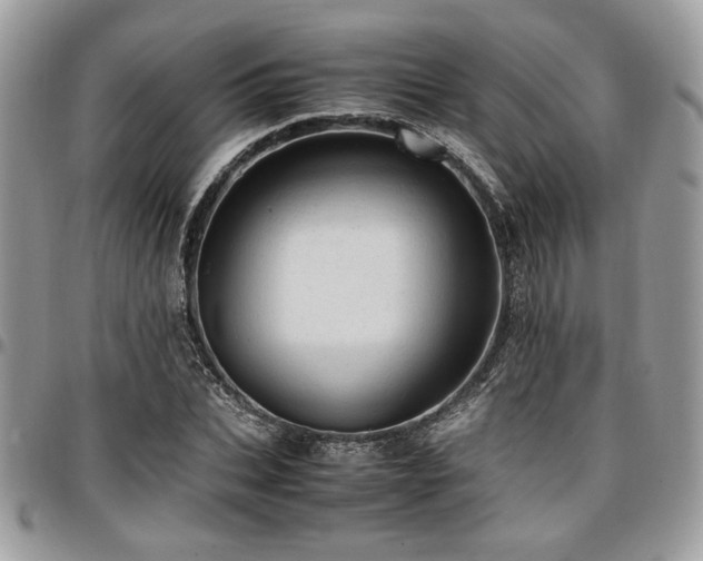 X0000096940927200802081202