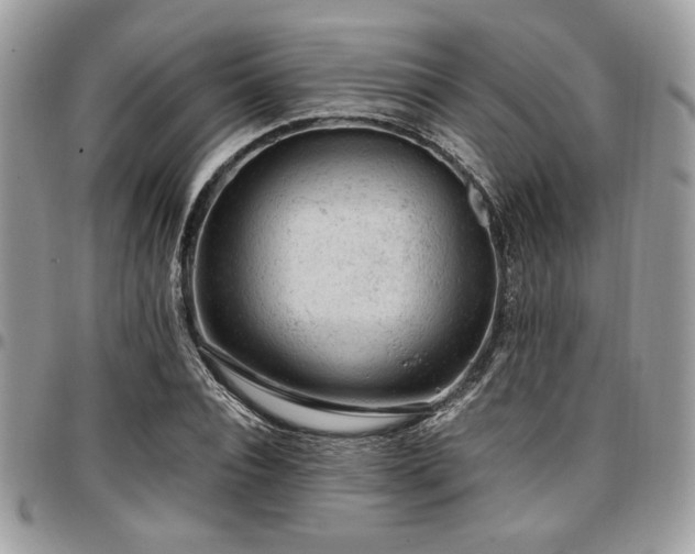 X0000096940928200802081202