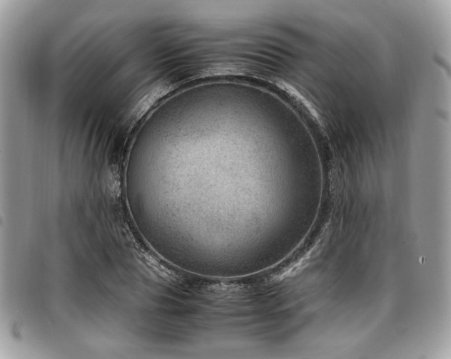 X0000096940929200802081202