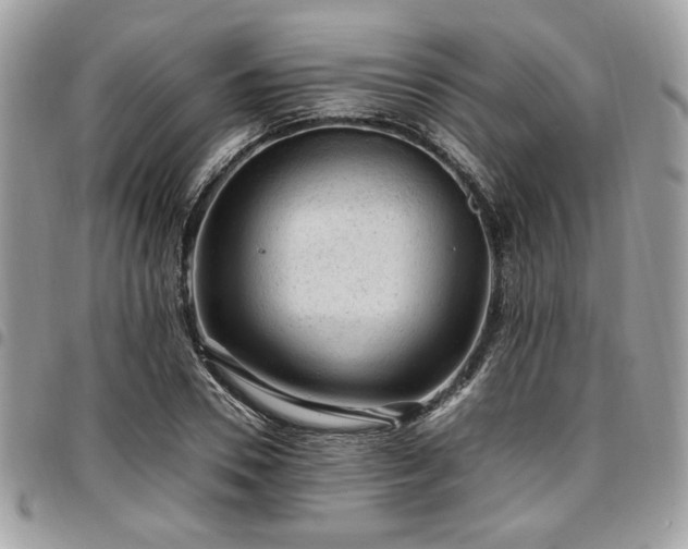 X0000096940930200802081202