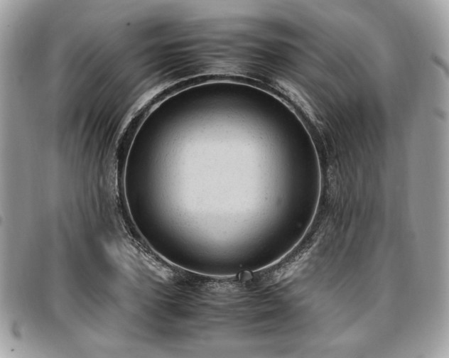 X0000096940931200802081202