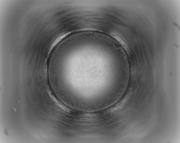 X0000096940933200802081203