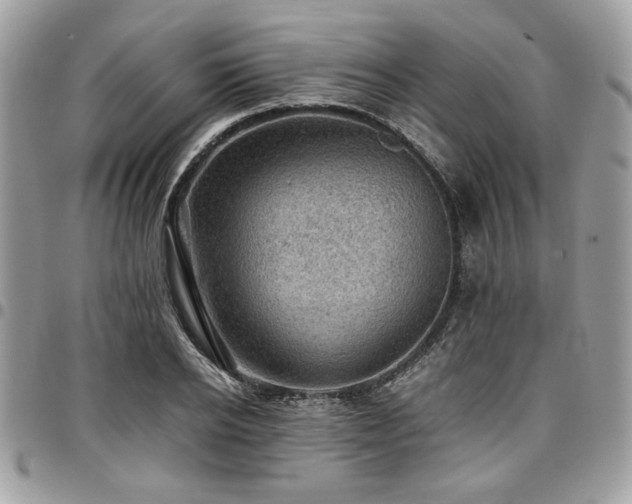 X0000096940934200802081203