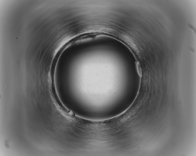X0000096940936200802081203