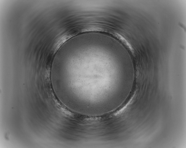 X0000096940937200802081203