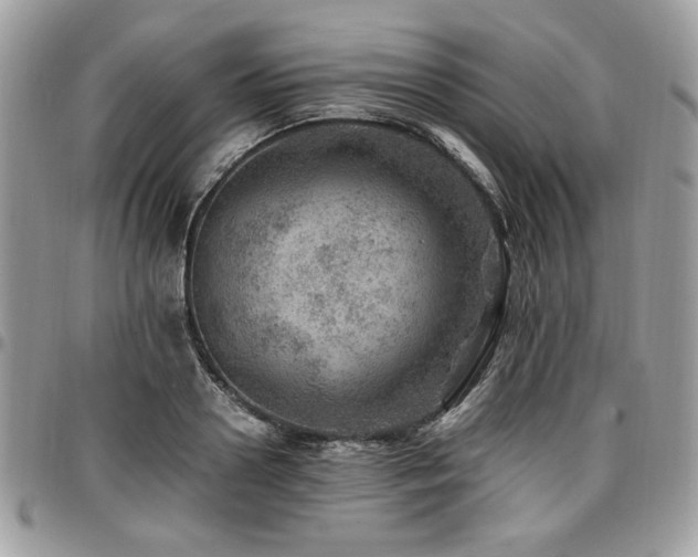 X0000096940938200802081203