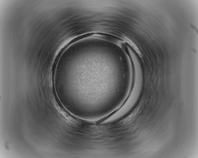 X0000096940939200802081203