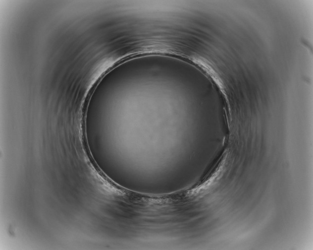 X0000096940941200802081203