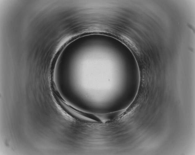X0000096940942200802081203