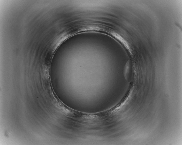 X0000096940945200802081203