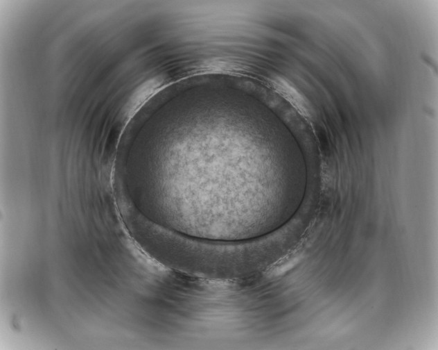 X0000096940946200802081203