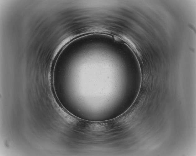 X0000096940947200802081203