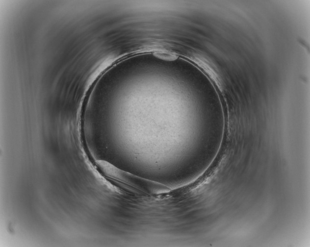 X0000096940949200802081203