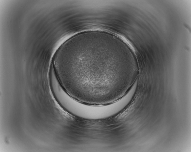 X0000096940951200802081203
