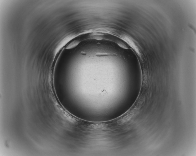 X0000096940952200802081203