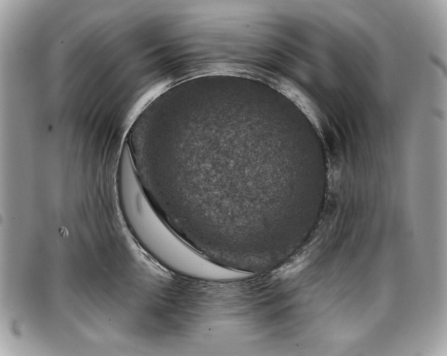 X0000096940954200802081203