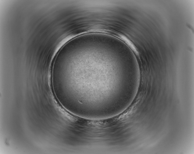 X0000096940955200802081203