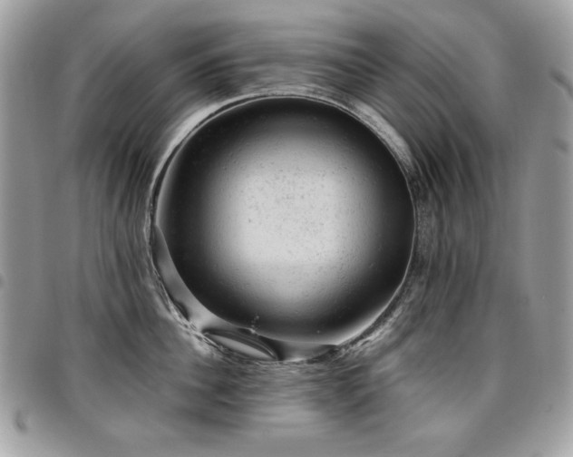 X0000096940956200802081203