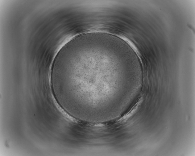 X0000096940957200802081203