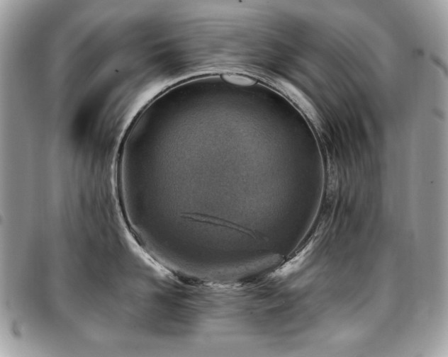 X0000096940958200802081203