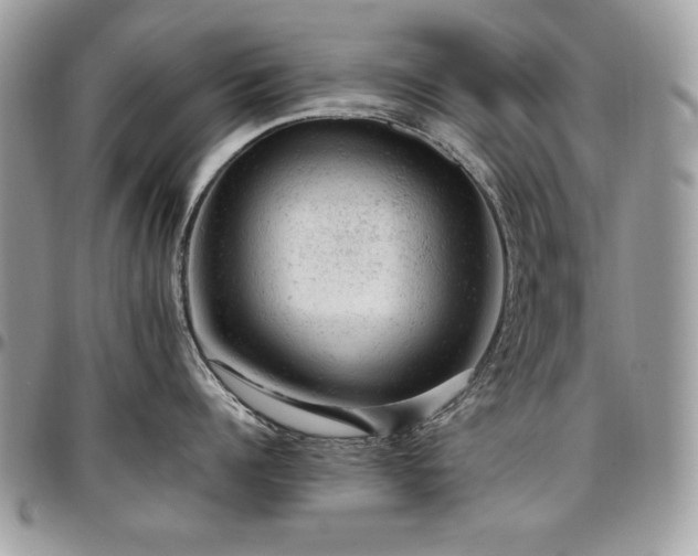 X0000096940960200802081203