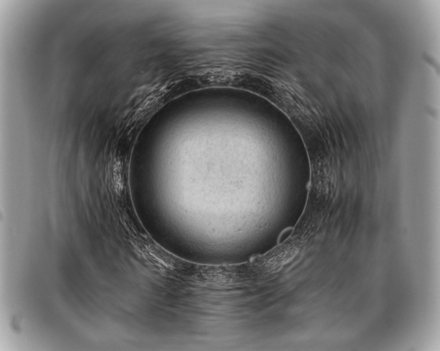 X0000096940962200802081202