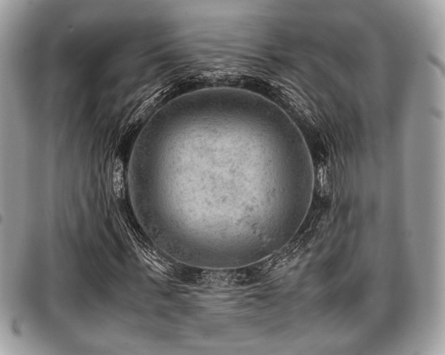 X0000096940963200802081202