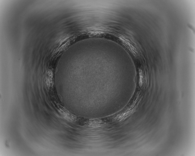 X0000096940964200802081202