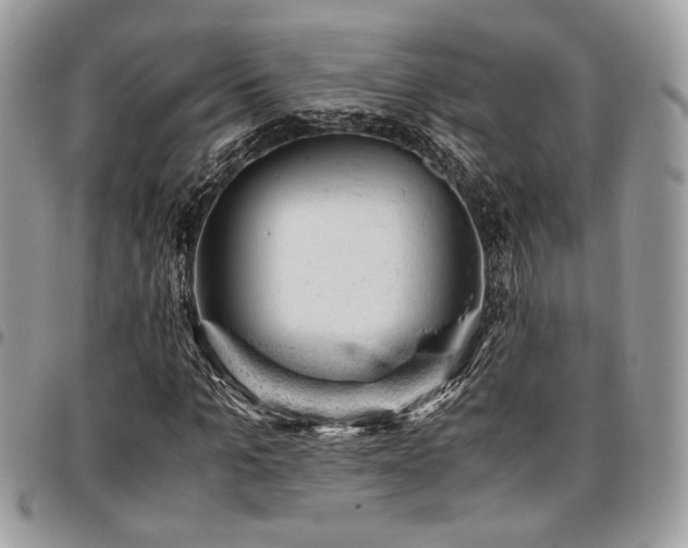 X0000096940965200802081202