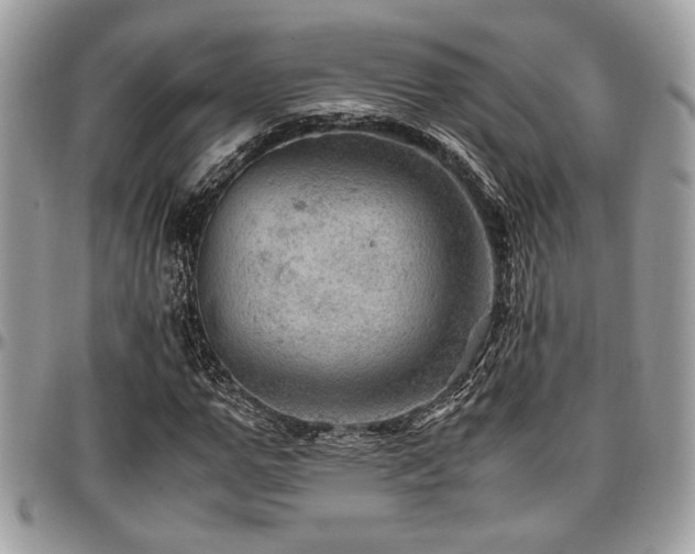 X0000096940967200802081202