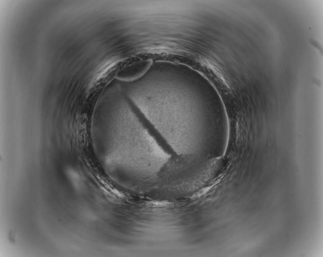 X0000096940968200802081202