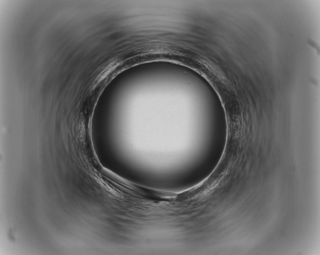 X0000096940969200802081202