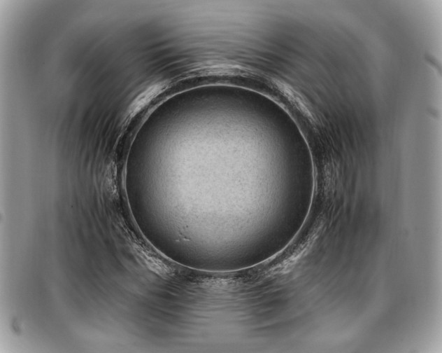 X0000096940970200802081202