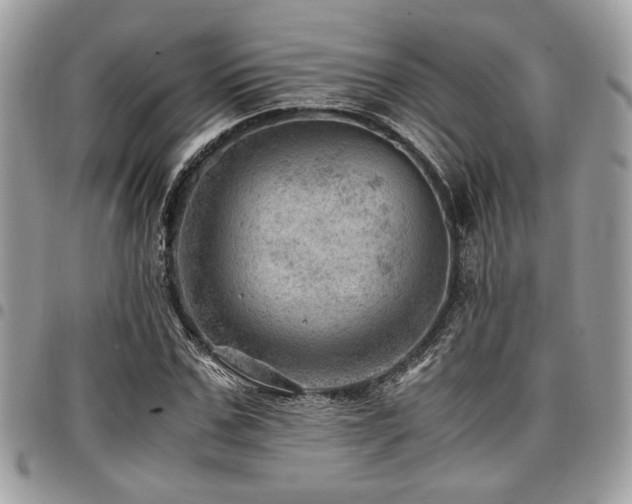 X0000096940971200802081202