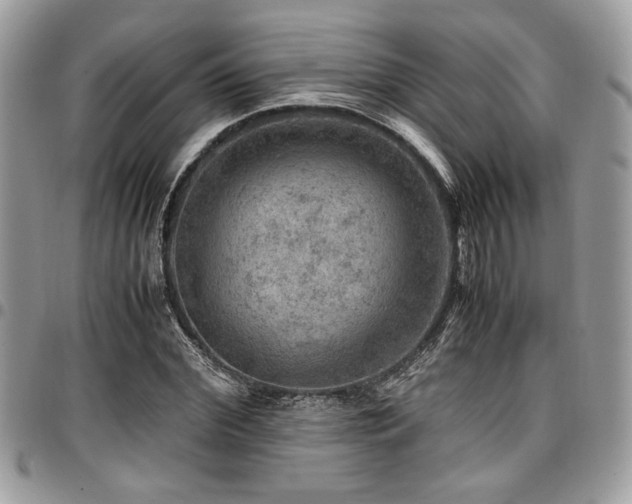 X0000096940972200802081202