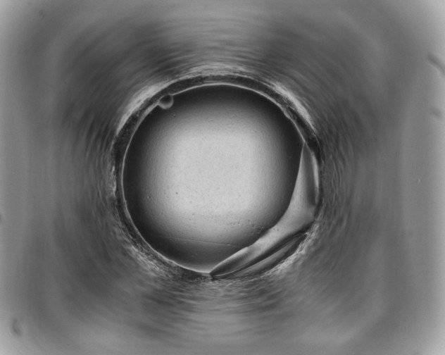 X0000096940973200802081202