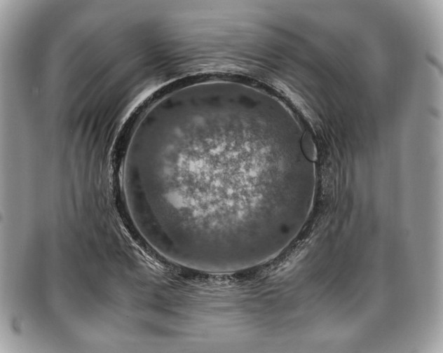 X0000096940975200802081202