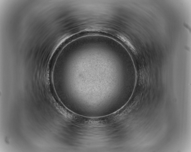 X0000096940976200802081202