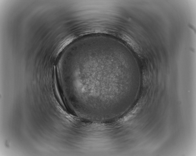 X0000096940977200802081202