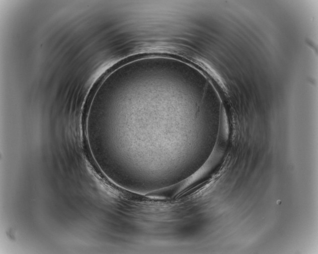 X0000096940980200802081202