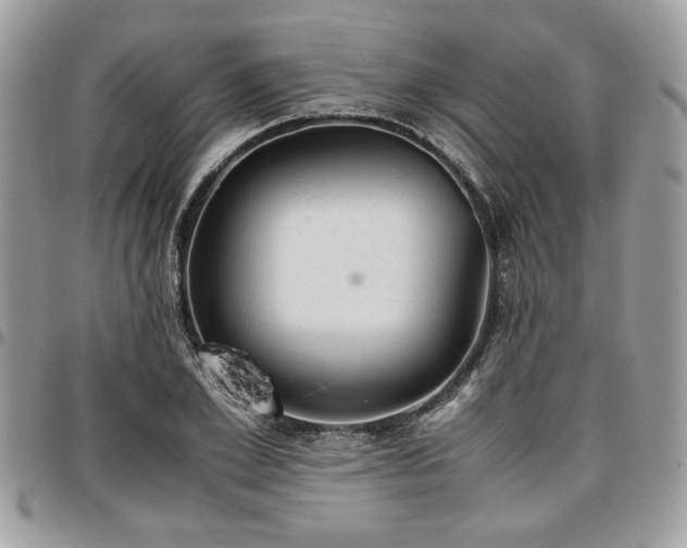 X0000096940981200802081202